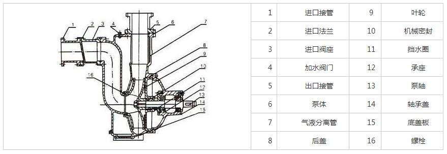 ZW不銹鋼自吸排污泵結構圖